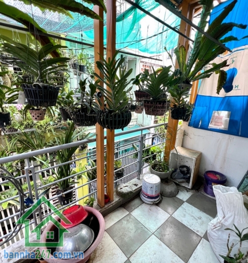 CHỈ 5,3 TỶ – NGAY NGUYỄN HỮU TIẾN, TÂY THẠNH – 46M² – 2 TẦNG – 2PN 2WC – VÀI BƯỚC RA HẺM XE HƠI