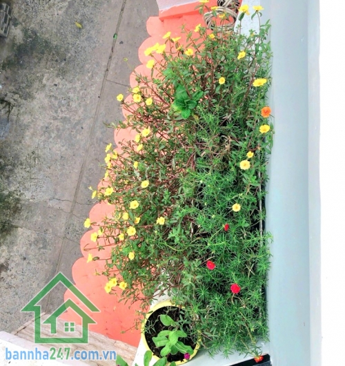 CHỈ 3,86 TỶ – NHÀ 2 TẦNG ĐÚC – HẺM XE HƠI – LÊ THÚC HOẠCH – TÂN PHÚ Vị trí: hẻm xe hơi đỗ cửa, ngay chợ Tân Hương, thuận tiện di chuyển Vườn Lài – Lũy Bán Bích, gần trường học, UBND phường.  