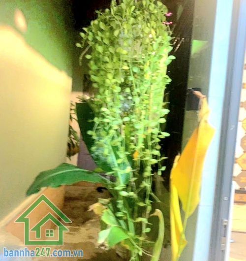 CHỈ 4,6 TỶ (TL) – PHỐ TÂY BÙI VIỆN – SÁT MẶT TIỀN – NGANG 4.2M - 2PN – 2WC Căn nhà trung tâm Quận 1 – vị trí “hái ra tiền” – cực kỳ hiếm! Diện tích: ~21m² (4.2 × 5m) Diện tích sử dụng: ~30m². Kết cấu: 1 trệt 1 lầu. Công năng: 2PN – 2WC – phòng khách – bếp